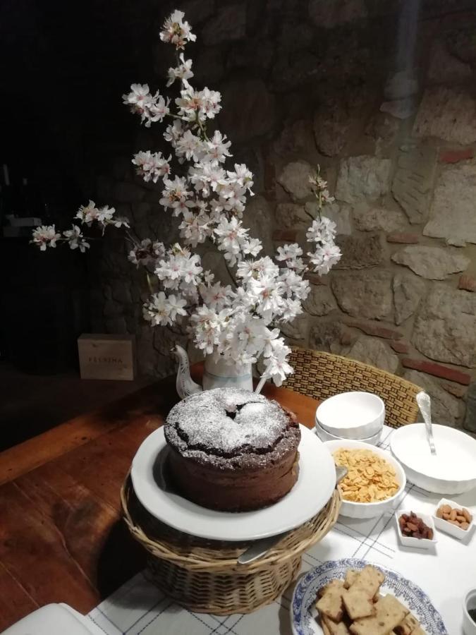 Bed and Breakfast Poesia 74 Rosignano Marittimo Zewnętrze zdjęcie